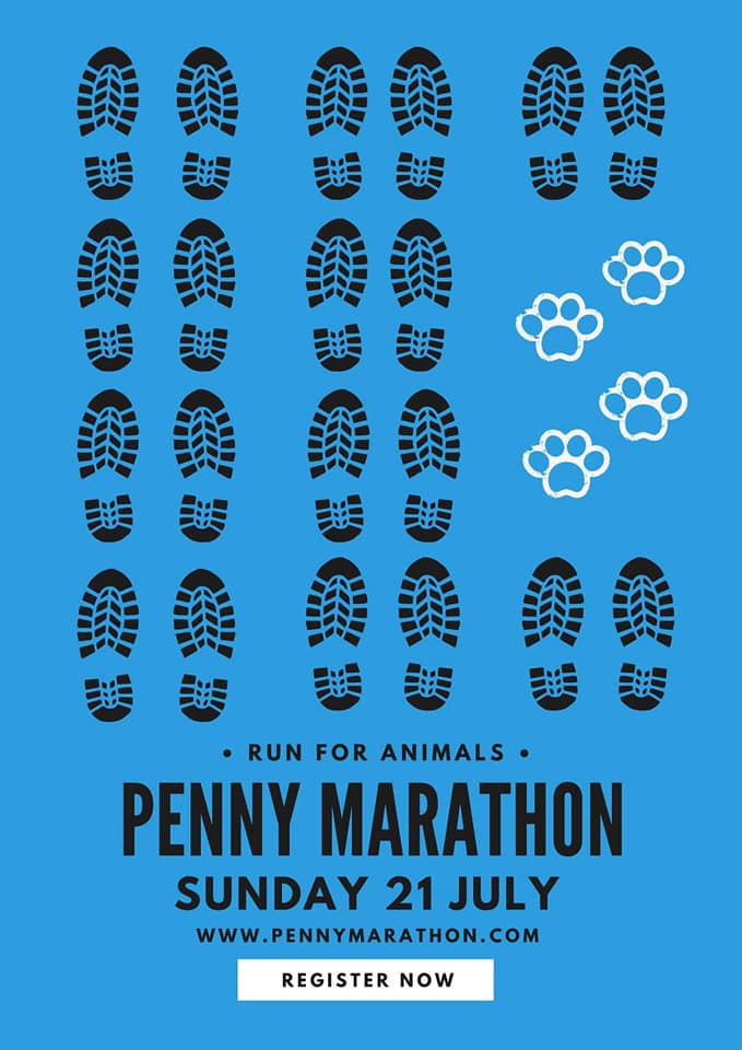 Penny Marathon 2019: Μαραθώνιος αγάπης για τους τετράποδους φίλους μας