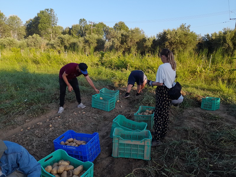 Στα 35.140.000 ευρώ ο προϋπολογισμός για τους νέους αγρότες της Περιφέρειας Πελοποννήσου-Από 29 Νοεμβρίου οι αιτήσεις